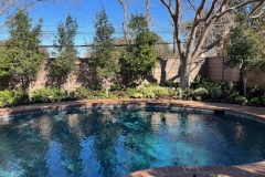 72893214588__720E6E06-A562-43E0-AA9F-FEB3738D0383