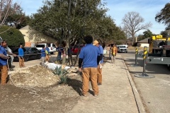 741CF1AB-262F-49E8-B175-3C7F369BD00E