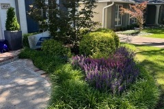 77273272485__0C988325-1701-498B-9120-BC7AE6C5881B