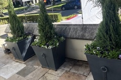 78182169745__65444587-8F75-469A-BDE9-3BBDC4F89468