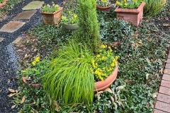 78467804210__30518DEE-3603-4D23-B876-D0D29AA12147