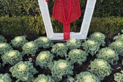 78467923032__DECB4615-E639-47F0-8427-90EFB3FC06361