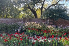 79504500189__B7CD00E1-8035-4CD7-9FB0-9B66F22CCF49