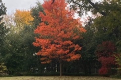 8B237877-9E21-4915-A787-F8FF6AD43653