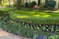 8F49EBD4-B682-4B13-923F-FA5C3090599E