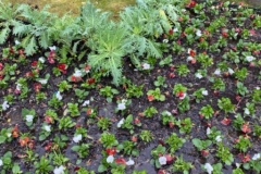 8FF16BA8-1469-4393-ACA0-1355328058C9