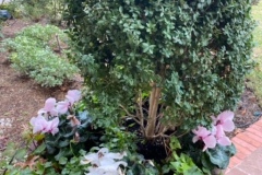 9AFAAF66-93CD-493C-9CE0-098585B982D3