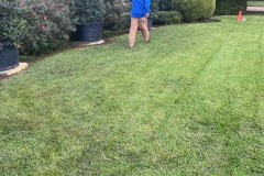 A25DFDF0-0E2F-40D2-AAF7-0F7D2BC44B17