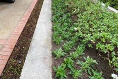 AF467B5A-BD4B-4603-B3E7-70DB78484407