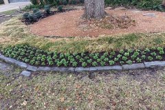 B2C0C6D2-C626-4627-886D-B98C66020052