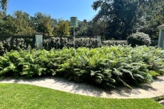 B61D3195-14F5-4F1F-AF02-BC946F4DED51