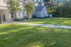 C276565A-A5FC-4BBE-8E4D-66B47357393E