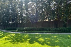 D20B30A0-8F19-4C29-9311-598EF7245886