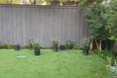 ED135A0A-5522-404C-A21B-53E5EAFE6BF3