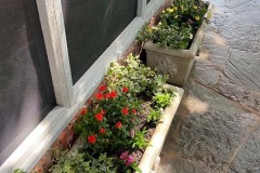 F22684A8-0052-4E85-BBEE-CE291745C2D9