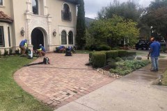 IMG_1225