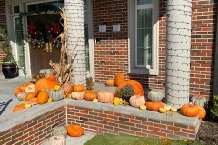IMG_2219