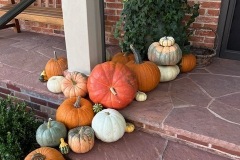 IMG_2381