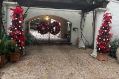 IMG_4398