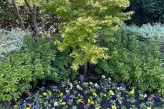 IMG_4586
